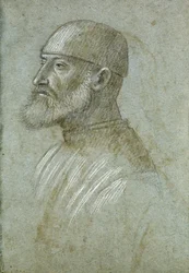 Head of Bearded Man Wearing a Cap, in Profile to the Left